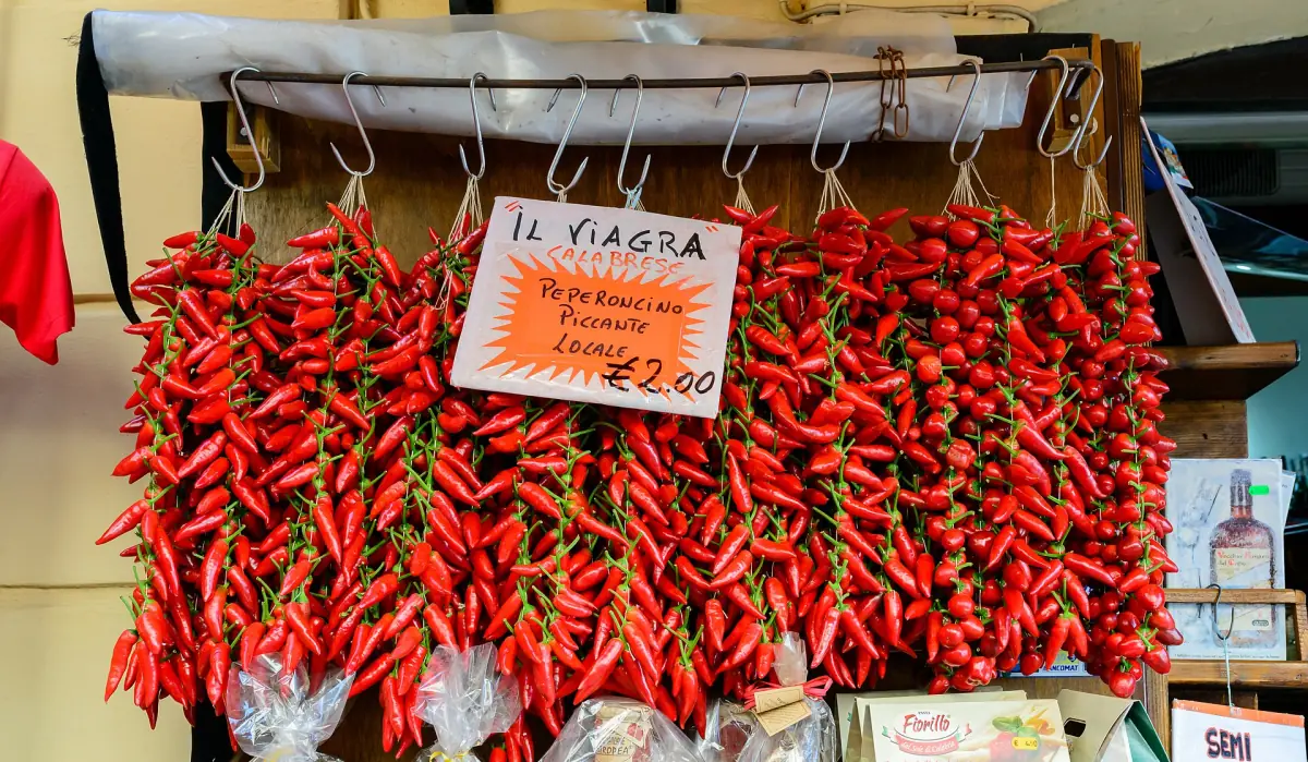 Strings of dried Calabrian chili peppers